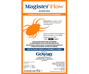 magister flow