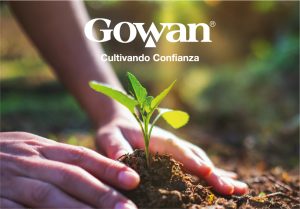 Gowan cultivando confianza