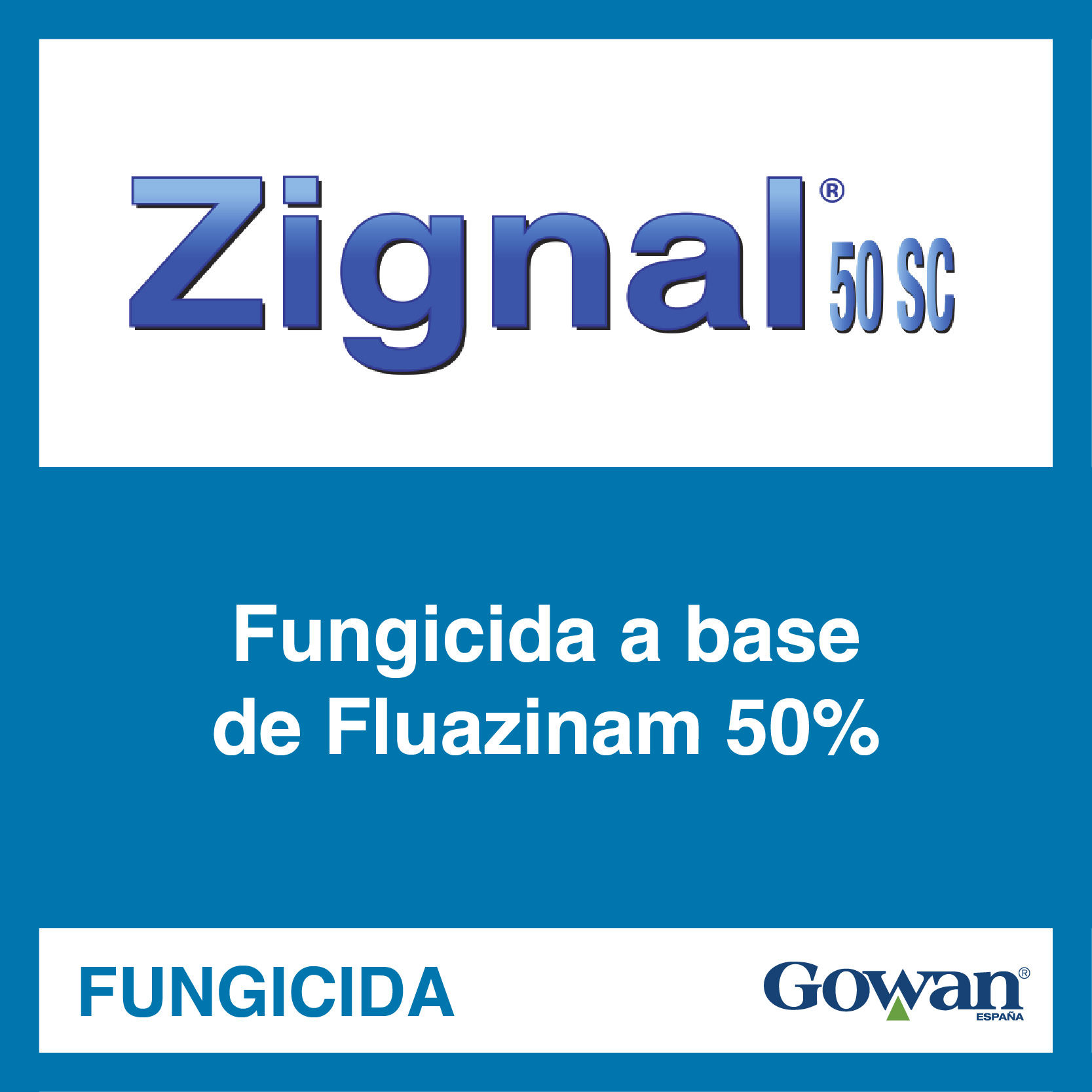 zignal